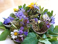 Wildkräuterführung